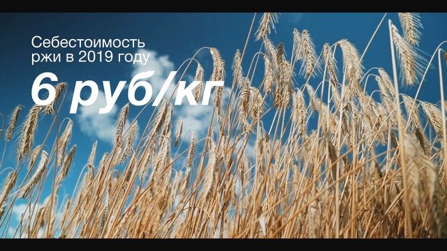 АСТ о 5-летнем опыте работы с гибридной рожью и урожайности 96,2 ц/га на песках смотреть онлайн