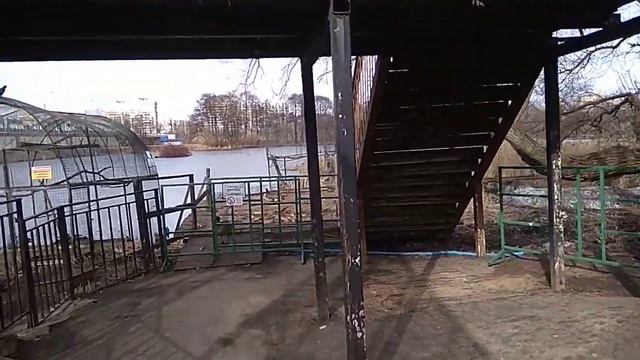 водные птицы смотреть онлайн
