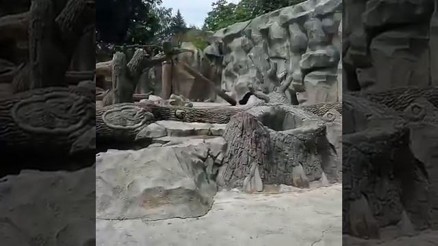 Мишка где? Лето. Сезон. Зоопарк. Детки. Для детей смотреть онлайн