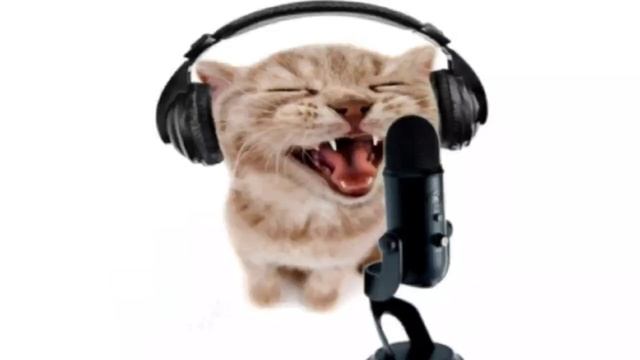 i'm stronger i'm smarter i'm better - ОТКУДА МЕМ? смотреть онлайн
