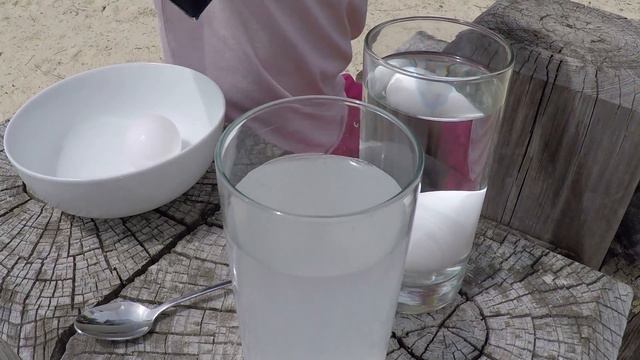 Floating egg / saltwater density test смотреть онлайн