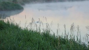 Дым(туман) над водой.