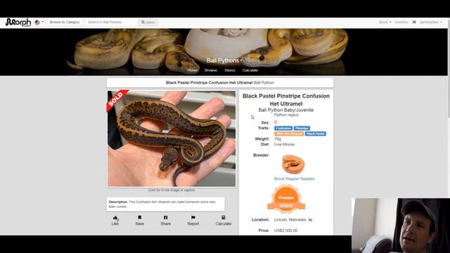 Brock Wagner Reptiles Ball Python Morph Combos | Breeder's Spotlight | Jack's Reptiles смотреть онлайн