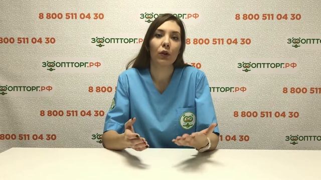 Руководство к Креативности