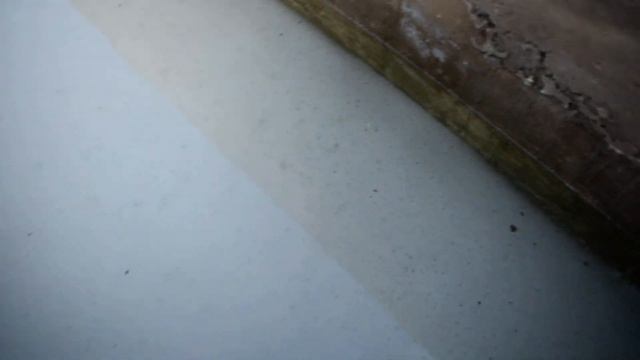 Солнечный Вегетарий Порвался ли Фундамент После Зимы