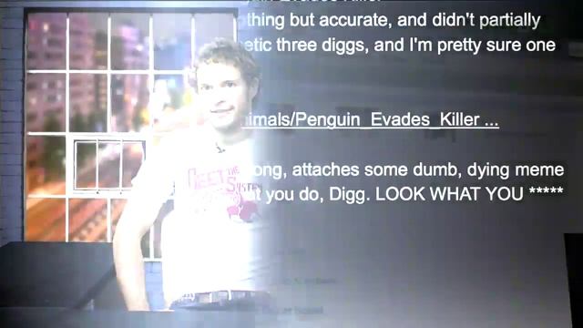 Penguin BARELY Escapes Shark Attack! - The Digg Reel смотреть онлайн