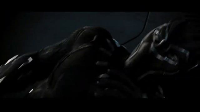 Чёрная Пантера против Золотого Ягуара, Чёрная Пантера(Black Panther)