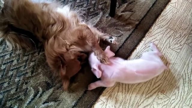 Встреча 2019 года смотреть онлайн