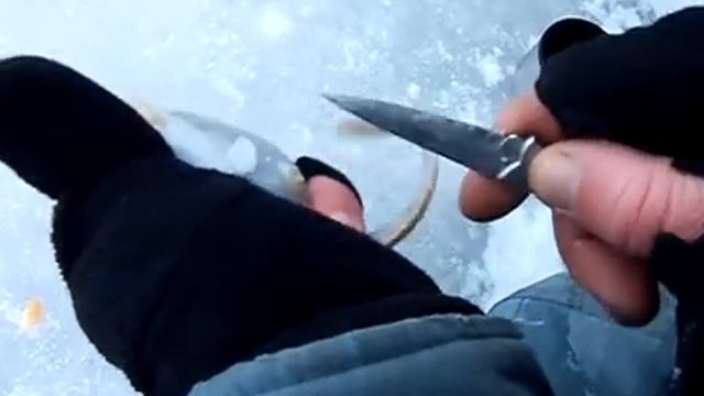 Кесарево бельдюги смотреть онлайн