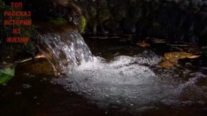 Мачеха и молодой, красивый пасынок