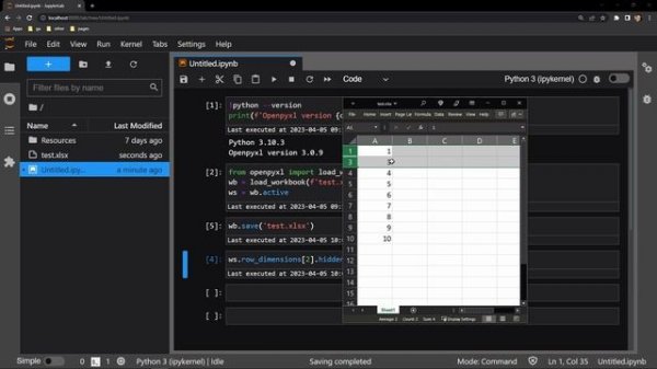 Openpyxl - Hiding/Unhiding Rows in Excel Workbooks with Python | Data Automation