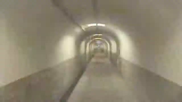 The Dilemma Of Technology