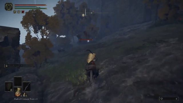 How to Beat the Death Bird in Weeping Peninsula | Elden Ring Tutorial смотреть онлайн