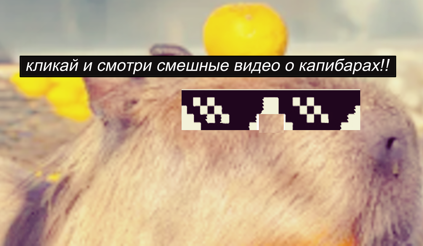 Видео о КАПИБАРАХ в высоком качестве. смотреть онлайн