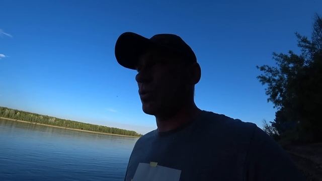 РЫБА ПОШЛА | Вечерний ХАПОК, МОЩНЫЕ ПОКЛЁВКИ | Рыбалка на РЕЗИНКИ летом смотреть онлайн