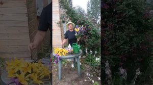 Непревзойденное удобрение для садовых и балконных цветов