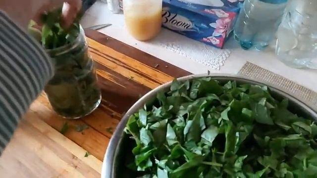 НАША ОЧЕРЕДНАЯ ЗАГОТОВКА НА ЗИМУ#жизньданки #жизньданки смотреть онлайн