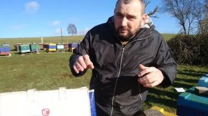 Щавелевая кислота 3.5% раствор, как правильно приготовить. Обработка пчёл щавелькой 3.5%!!!