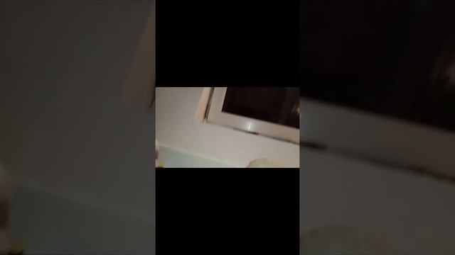 это была самая лёгкая победа над теми смотреть онлайн