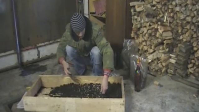 Грибы и природные ритмы природы