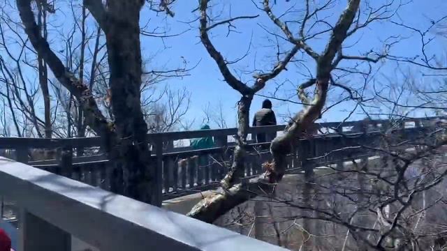 The Blowing Rock, in Blowing Rock, North Carolina смотреть онлайн