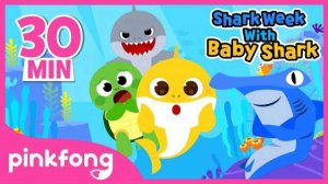 Shark Week with Baby Shark | +Compilation | Baby Shark Show | Pinkfong Songs for Children