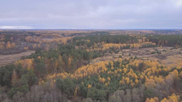 По интересным местам Лотошинской и Волоколамской земли смотреть онлайн
