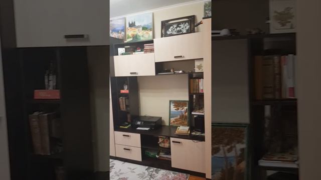 Южный кватал, студия №3, площадь 14,7 м2 смотреть онлайн