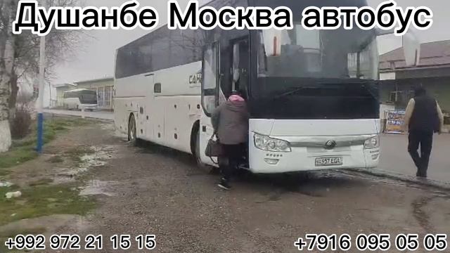 Автобус Душанбе Москва худжанд Москва#душанбе #москва #худжанд #автобус #новосибирск смотреть онлайн