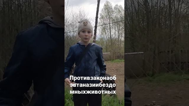 против закона об эвтаназии бездомных животных смотреть онлайн