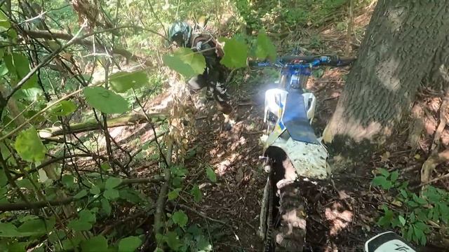 КОСОПУЗЫЕ Обкатываю Kamax 300 2т Пронск 31.08.2023 смотреть онлайн