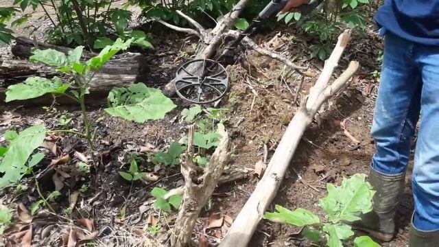 METAL DETECTING || GOLD HUNTER T90 || PESTA STRIKE DI BEKAS PEMUKIMAN PINGGIR SUNGAI смотреть онлайн