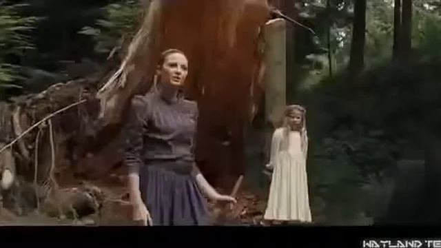 мишки гамми