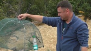 Ловля раков