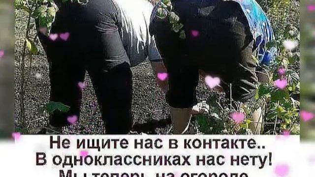 Анекдоты про огород? смотреть онлайн
