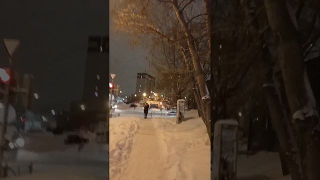 28.12.2023 Мечеть зимой и мы с мамой и Серегой смотреть онлайн