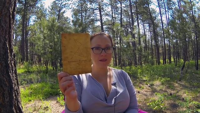 Weekly June 27, 2016 Angel Oracle Card Reading смотреть онлайн