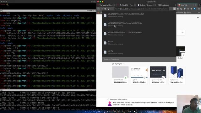 Borderland THM Web API Key смотреть онлайн