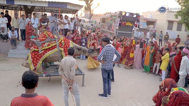 राजस्थानी ऊंट का ऐसा डांस आप ने पहले कभी नहीं देखा होगा | New Marwadi Dj Song 2023 | New Camel danc смотреть онлайн
