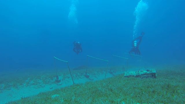 ДАЙВИНГ В ДАХАБЕ С РУССКИМ ДАЙВИНГ ЦЕНТРОМ/ Отработка плавучести/ смотреть онлайн