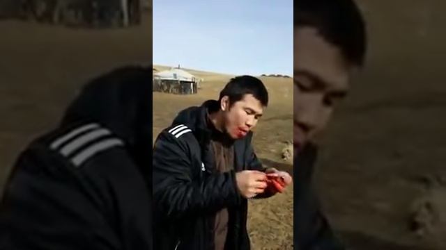 Х.Цагаанбаатар үрээний засаа зооглов смотреть онлайн