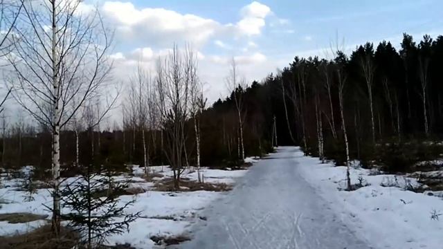 Лыжная трасса "Лесная" в Троицке 31.03.2019 смотреть онлайн
