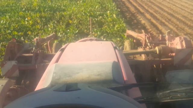 grimme rootster massey 6480 delaplace betterave 2016 смотреть онлайн