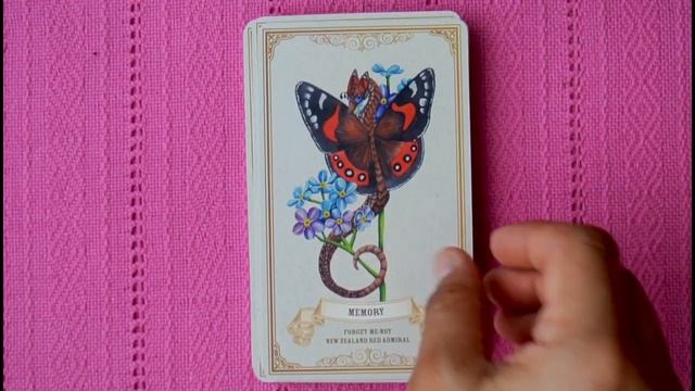 Enchanted Blossoms Oracle by Carla Morrow (Full Flip Through) смотреть онлайн