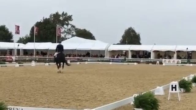 Headmore Figaro 72.8% National Championships 21/09/18cKx смотреть онлайн