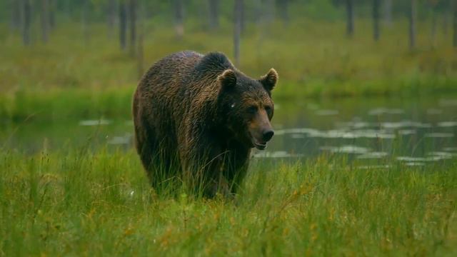 What If Reincarnation Was Real?