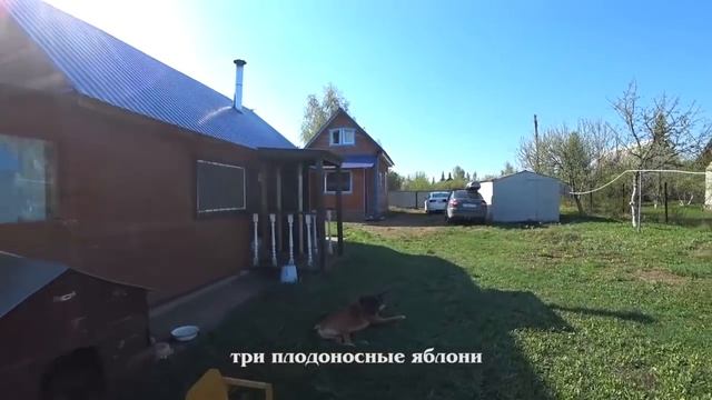 111Дача HD смотреть онлайн