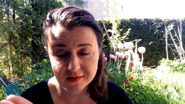 Лайфхаки: как быстро и эффективно выучить норвежский язык смотреть онлайн