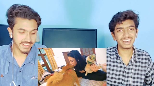 Pakistani React On | Rimorav Vlogs | Ignoring My Dog | Reaction Box смотреть онлайн