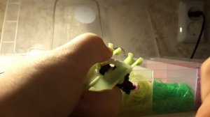 Плету из резинок хомяка.